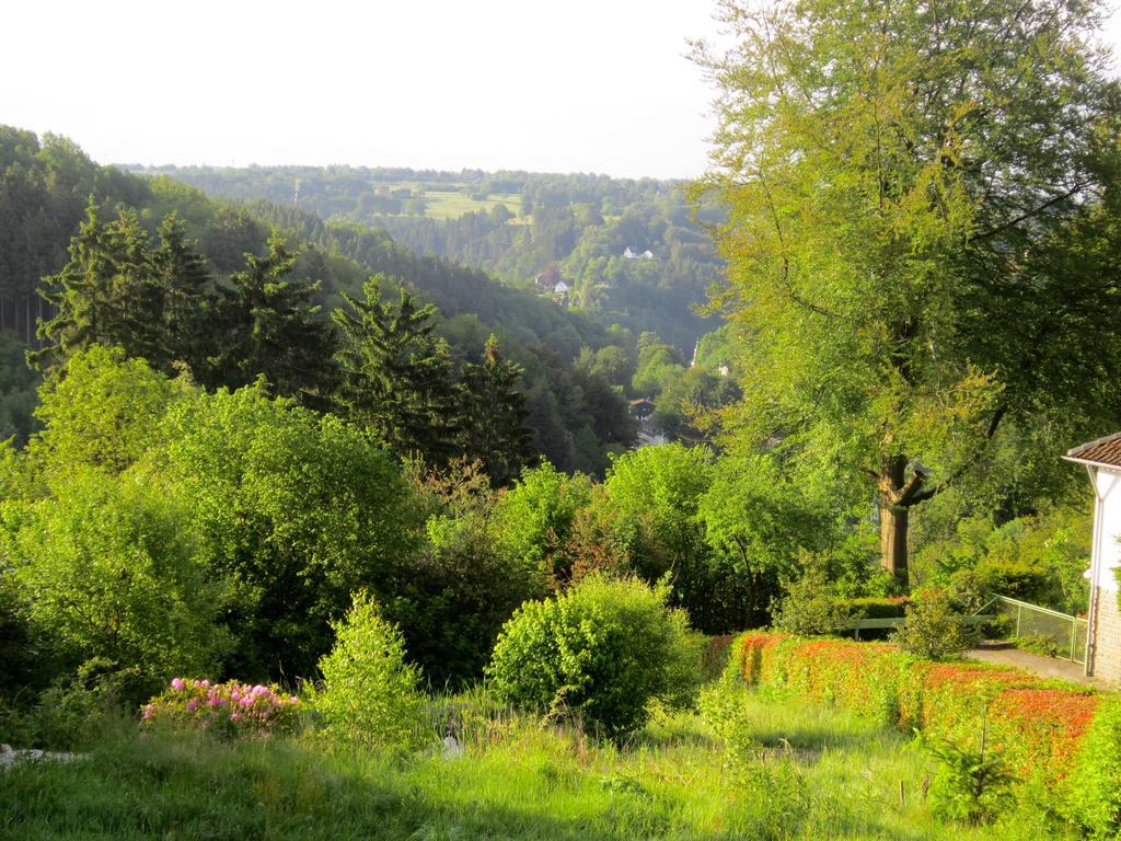 Het Groene Huis Monschau Esterno foto