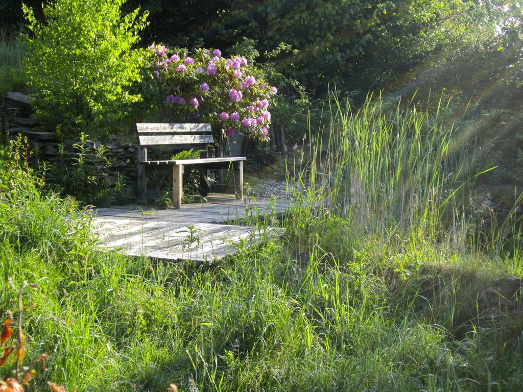 Het Groene Huis Monschau Esterno foto